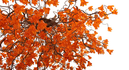 Orange Dining Room Lighting, Hanging Chandeliers with Orange jumping flowers