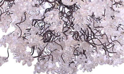 Modern Flower Chandelier: Transparent Resin Floral Light Fixture