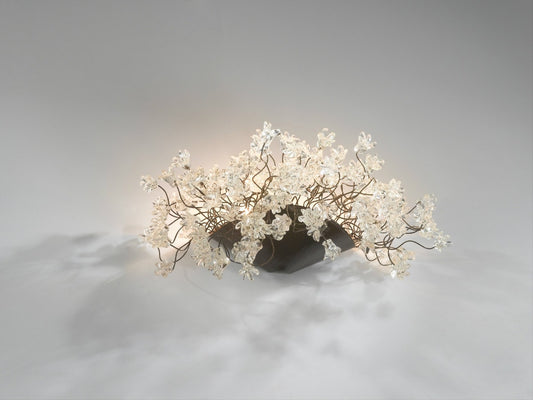 Modern Wall lighting with clear Krystal flowers
